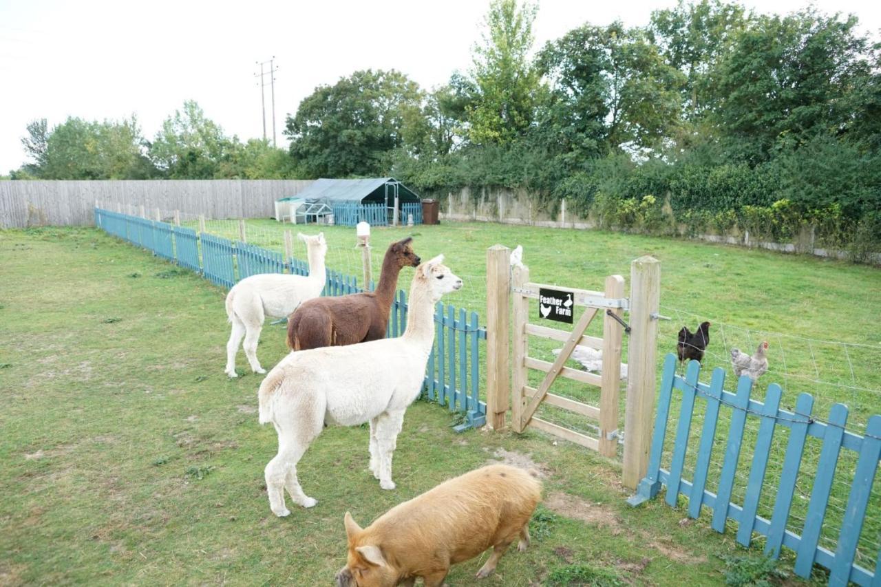 The Piggery Pod Hotell Sittingbourne Exteriör bild
